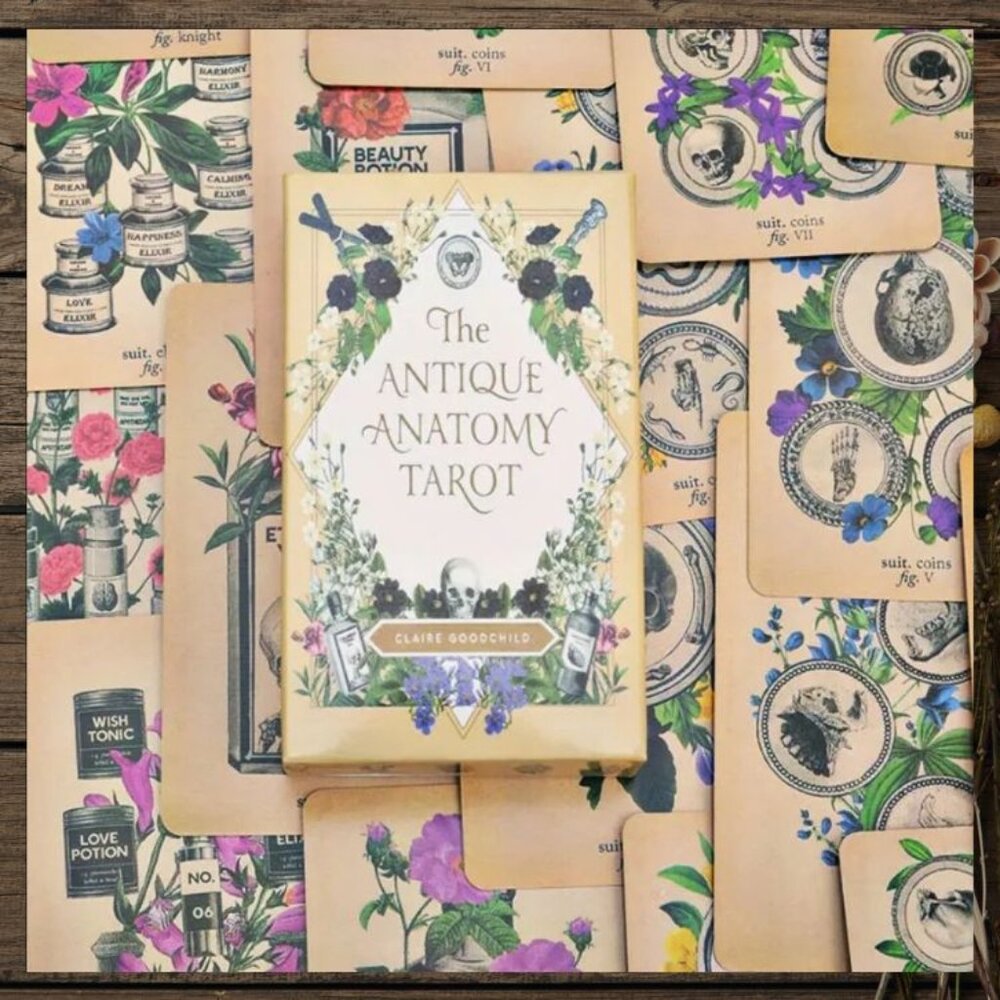 Antique Anatomy Tarot Deck | 78-Card Tarot with Guidebook | Gift Ready - Picture 3 of 16
